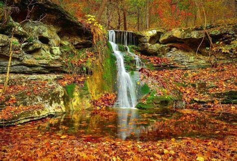 Laeacco Autumn Fallen Leaves Forest Waterfall Landscape Photography