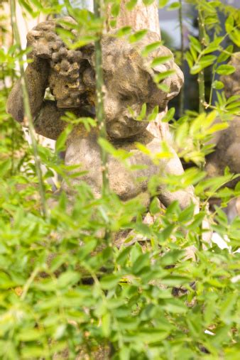 Overgrown Statue Stock Photo Download Image Now Overgrown Statue