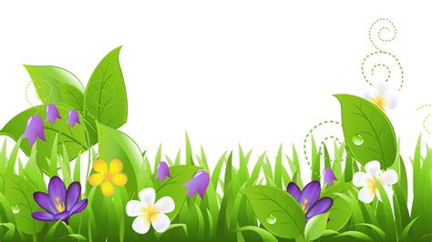 Spring Flowers Slideshow Wallpapers Wallpaper Cave