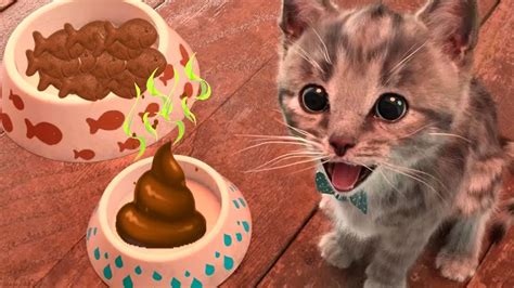 Little Kitten Adventures Play Cute Little Kitten Learn Color Shapes