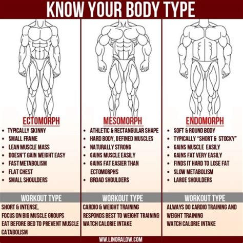Ectomorph Workout At Home For Females Off 74
