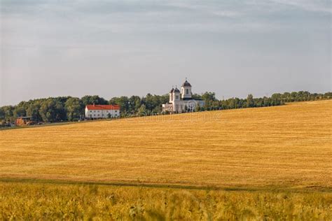 Orthodox Church Among The Fields Of Wheat White Church And
