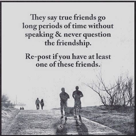 56 Friendship Quotes For Your Friend To Say That You Are Hisher True