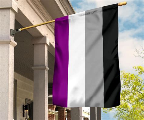 International Asexuality Day Flag Lgbt Pride Asexual Flag Ace Flag Ase