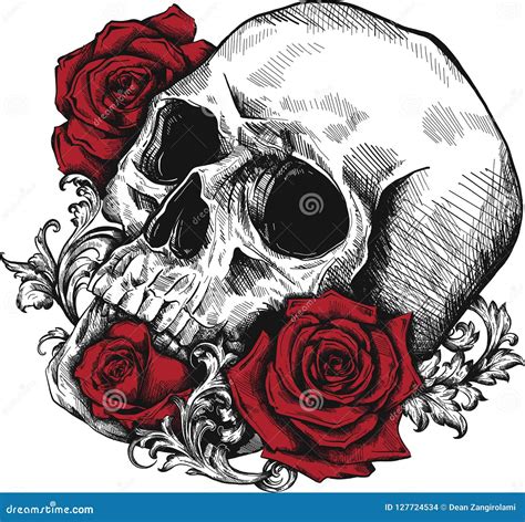 A Human Skull With Roses On White Background Stock Vector