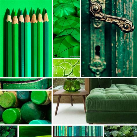 Macam Macam Warna Hijau » 23+ Kode Warna Hijau Dan Karakteristiknya