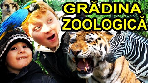 Ne ducem la gradina zoologica din chisinau sa aratam oaspetilor animalele si pasarile exotice care traiesc in moldova :) alex cu. GRADINA ZOOLOGICA Chisinau Vlog Alex cu Verisorii Zoo Park ...