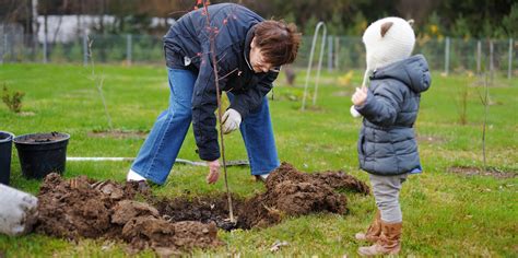 How To Guide In Category Fruit Tree Planting Videos
