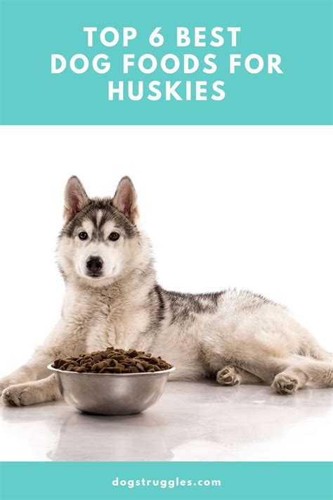 2 offers from $6.35 #33. Top 6 Best Dog Foods For Huskies | Best dog food, Dog ...