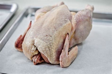 Should I Wash Raw Chicken Experts Say No As New Deadly Bug Is Found