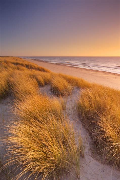 Dunes And Beach At Sunset On Texel Island The Netherlands Stock Image