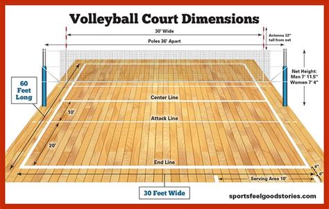 Badminton Court Size In Cm Wholesale Prices Save 42 Jlcatjgobmx