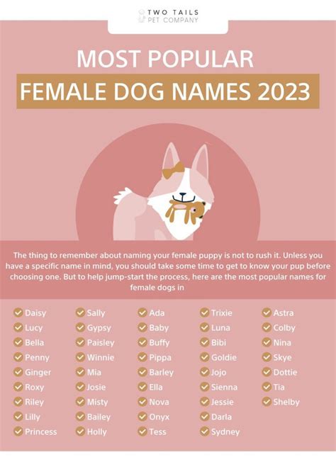 500 Popular Female Dog Names For Your New Puppy Beaconpet