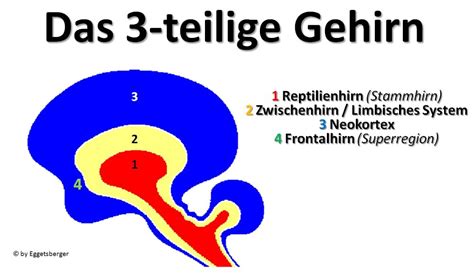 Eggetsberger-Info, Blogger, Blog: Reptiliengehirn-Typ