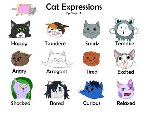Cat Expressions By Coolpurpledudette On Deviantart