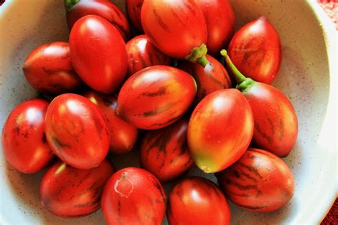 Tree Tomatoes In A Bowl Free Stock Photo Public Domain Pictures