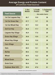 Beef Cattle Nutrition Beef Cattle Research Council