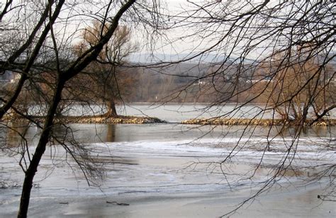 Free Images Landscape Tree Water Nature Branch Snow Cold