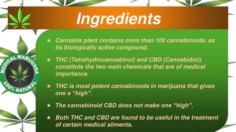 The Different Cannabinoids Found In Cannabis Plants