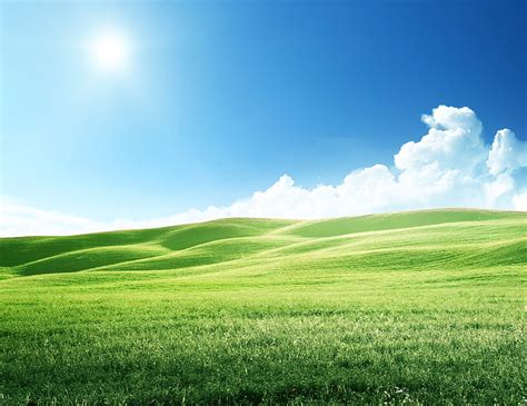 Green Grass Field Under Blue Sky At Daytime The Sky Nature Meadows
