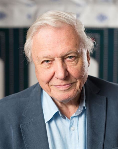 Legacy of stories from david attenborough & a life on our planet team. David Attenborough vertolkt 'stem van het volk' op VN ...
