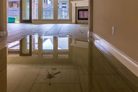 What You Should Know When Your Home Is Damaged By Water