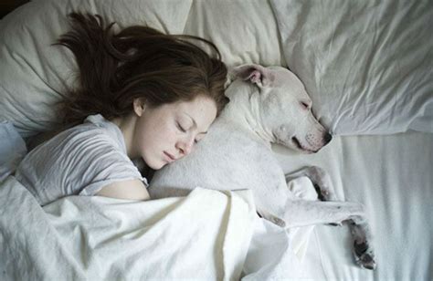 Dormire Con Il Cane Migliora Il Sonno My Pet S Hero