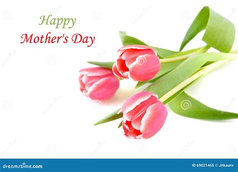 Tulip Flowers For Mothers Day Stock Image Image Of Love Concept