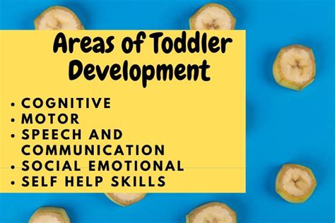 Toddler Development Toddler Development