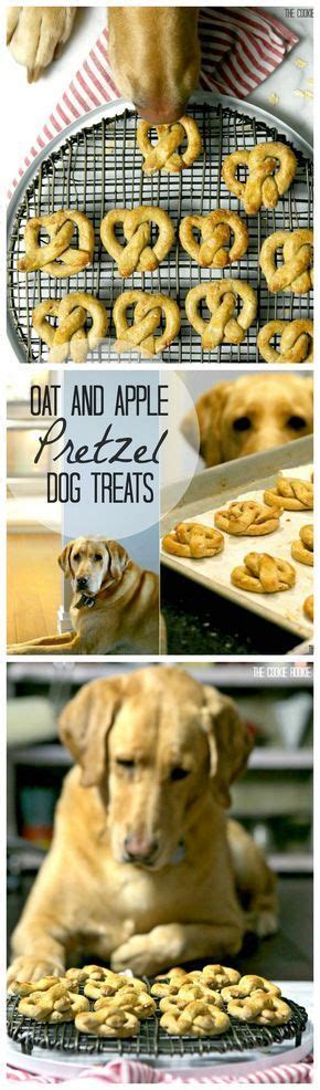 Healthy Dog Treats Homemade Diy Dog Treats Puppy Treats Homemade Dog