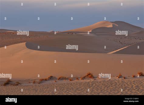 Dunenlandschaft Dune Hi Res Stock Photography And Images Alamy