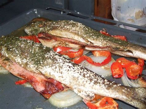 La trucha arco iris es un pez de aguas frías que pertenece a la familia salmonidae, en nuestro país se encuentra distribuida por toda la zona altoandina. Truchas al horno | Trucha al horno, Recetas de comida, Trucha