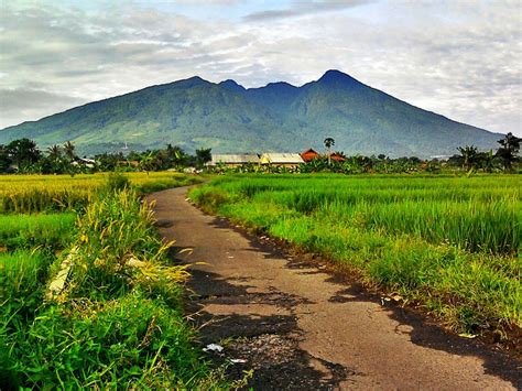 heading to bogor 4 incredible things to do travel bay