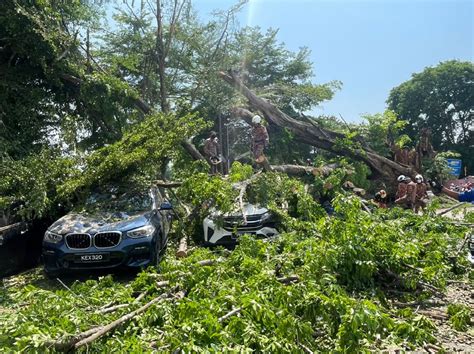 Aku Sebatang Pokok Kelapa Sawit Tahun 4  Aku Sebatang Pokok Sawit Bhg