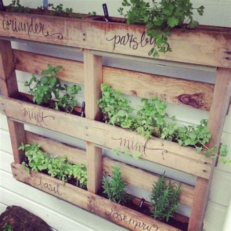 Actually, continue spelling it with z's instead of s's and k's instead of c's so i know which centers to avoid. DIY ideas - How to build a vertical herb garden from a ...