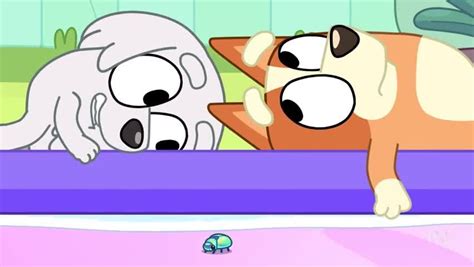 Bluey Season 3 Episode 46 Slide Watch Cartoons Online Watch Anime