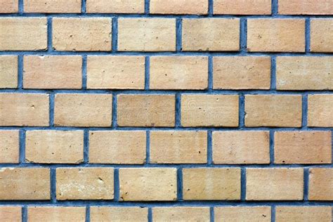 Tan Bricks In A Wall Stock Photo Image Of Color Colour 11559224