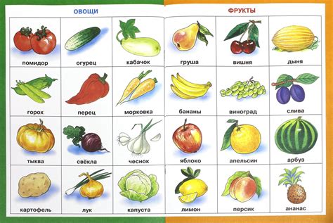 Иллюстрация 1 из 21 для Овощи и фрукты Лабиринт книги Источник