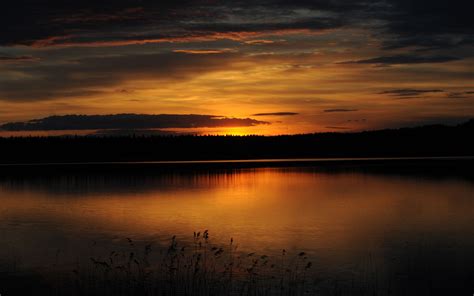 Free Download Hd Wallpaper Forest Lake Sunset Twilight Water