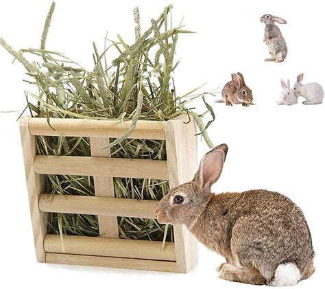6 Of The Best Hay Feeders For Your Rabbits Hutch Pawsify