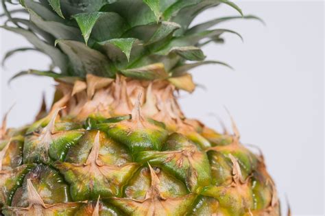 How To Grow A Pineapple Top On Water Grow My Own Health Food