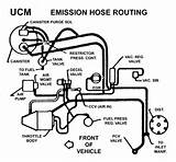 Pictures of Vacuum Hose Routing Diagram Chevy