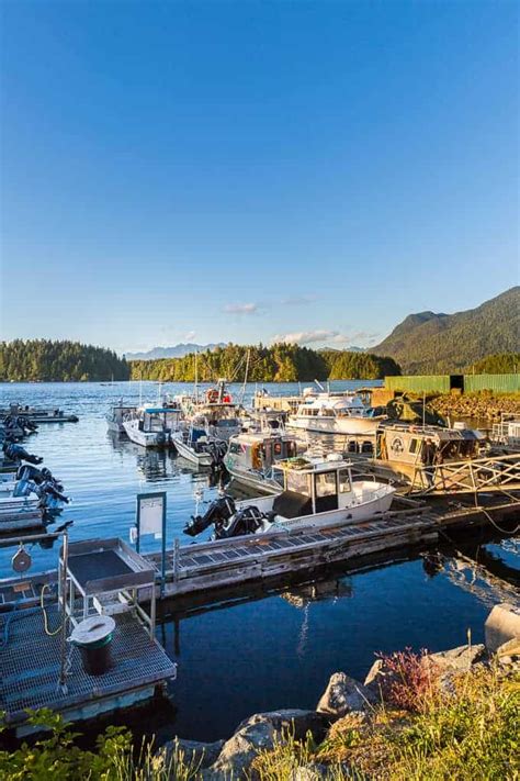 A Traveling Guide To Tofino Vancouver Island Get Inspired Everyday