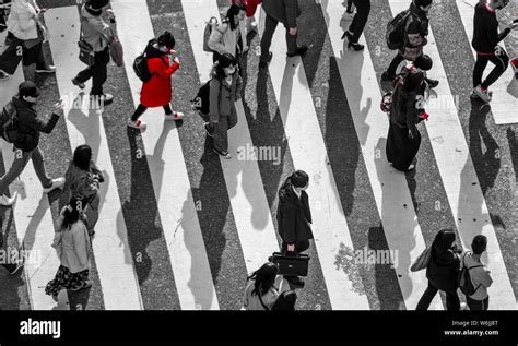 Single Person In Red Shibuya Crossing Crowds At Intersection Many
