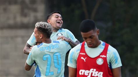 Palmeiras Vai Remendado Para Estrear Na Copa Do Brasil Contra O