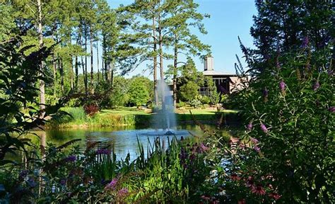 Cape Fear Botanical Garden Fayetteville All You Need To Know Before
