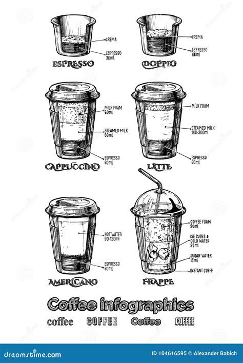 Coffee Infographics Set Stock Vector Illustration Of Engraving 104616595