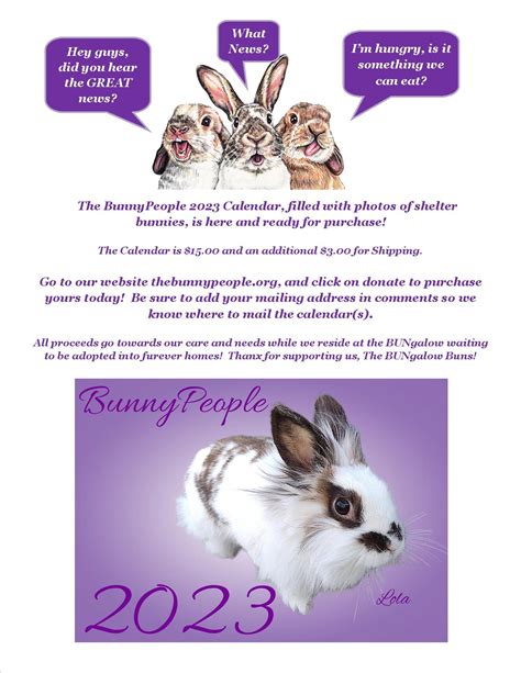 Find Your Perfect Pet: Adopt Dogs, Cats & More