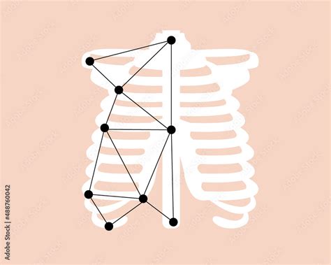 Human Skeleton And Ribs Are Isolated Technologically Advanced Flat