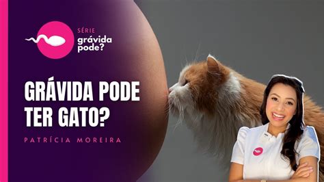 Doença De Gato Em Gravida